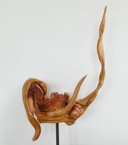 JOSE LUIS GARCIA MARTIN. Alga